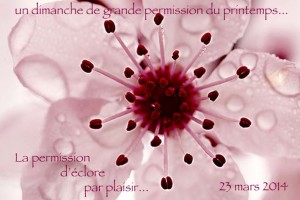 GP9-Éclosion par plaisir (small)